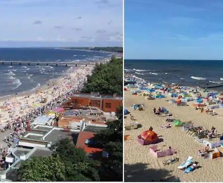 Perlowy Wypoczynek 公寓